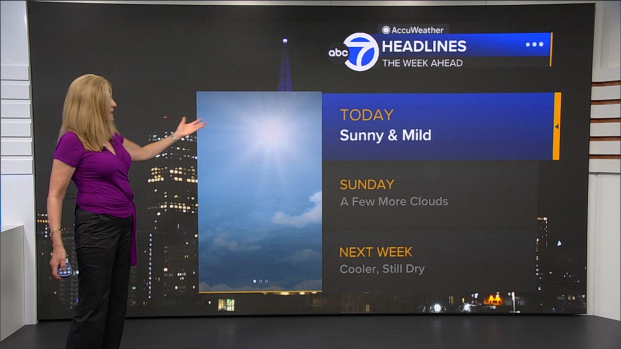 AccuWeather Forecast: Sunny and mild
— ABC 7 Bay Area, Sugar Land Community news