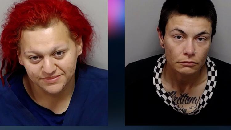 Dogs left to die while owners were passed out and intoxicated in nearby truck, San Antonio police say — KENS 5 (San Antonio), Sugar Land Community news