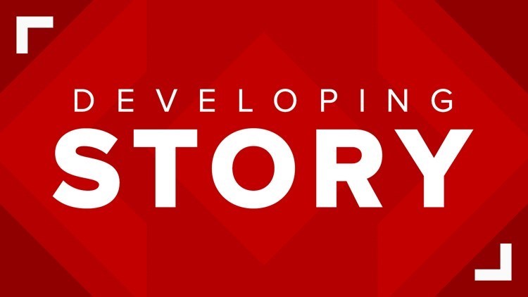 Grandmother, granddaughter hurt in dog attack in Westfield area, constable says — KHOU 11 (Houston)