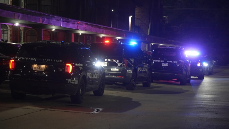 Man wearing Halloween costume shot after late-night encounter takes unexpected turn, Houston police say — Sugar Land Community news
